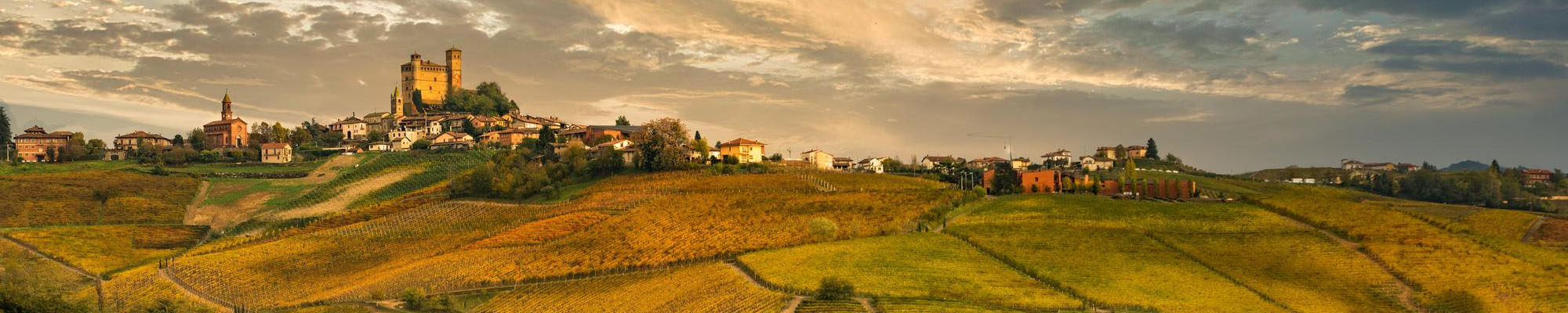 Paesaggio e vigneti: Langhe
